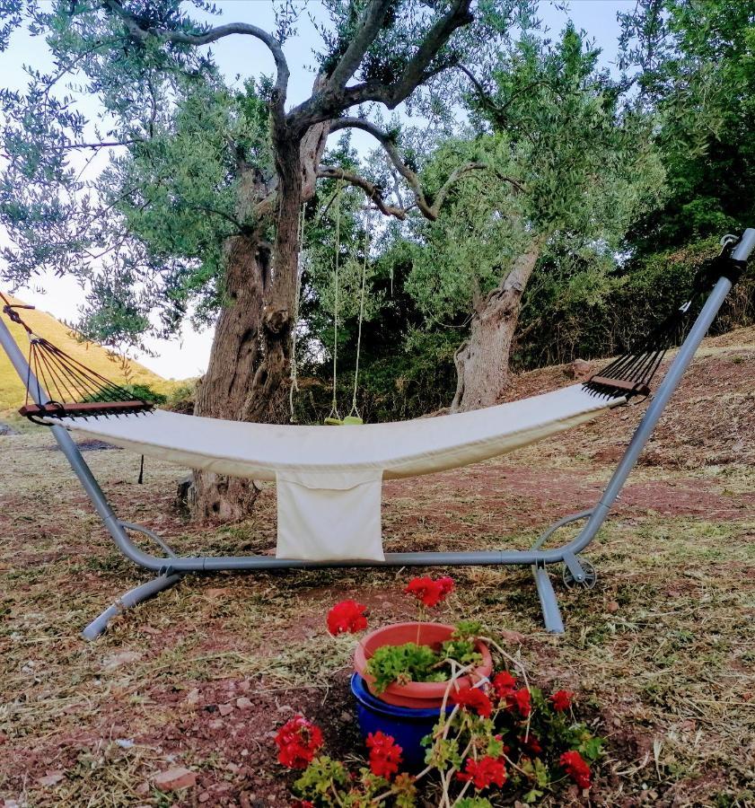 L'Opuntia Sul Lago Caccamo 外观 照片