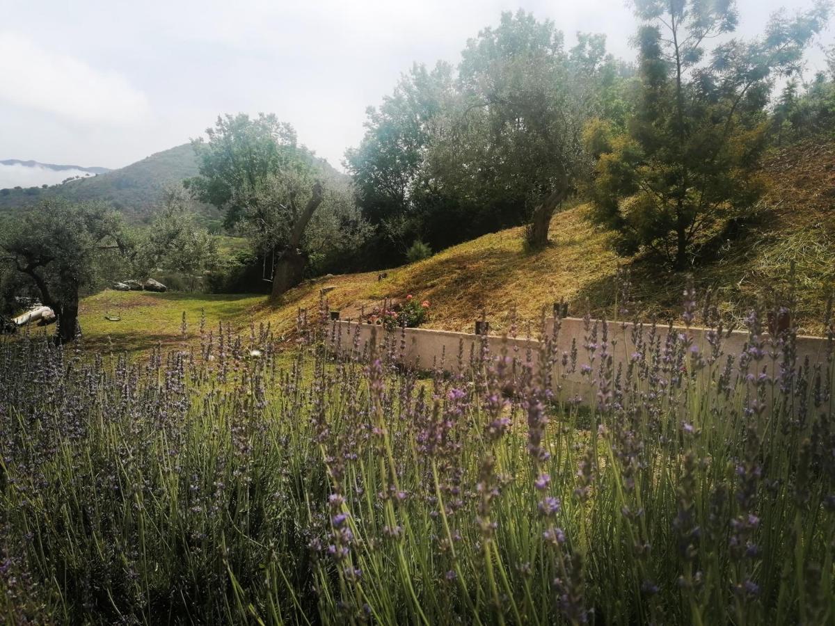 L'Opuntia Sul Lago Caccamo 外观 照片